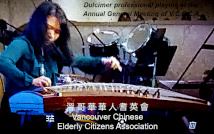 Dulcimer player - professional level of expertise